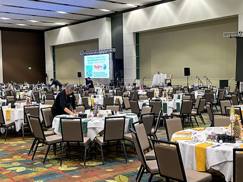 Pineapple Gala Setup